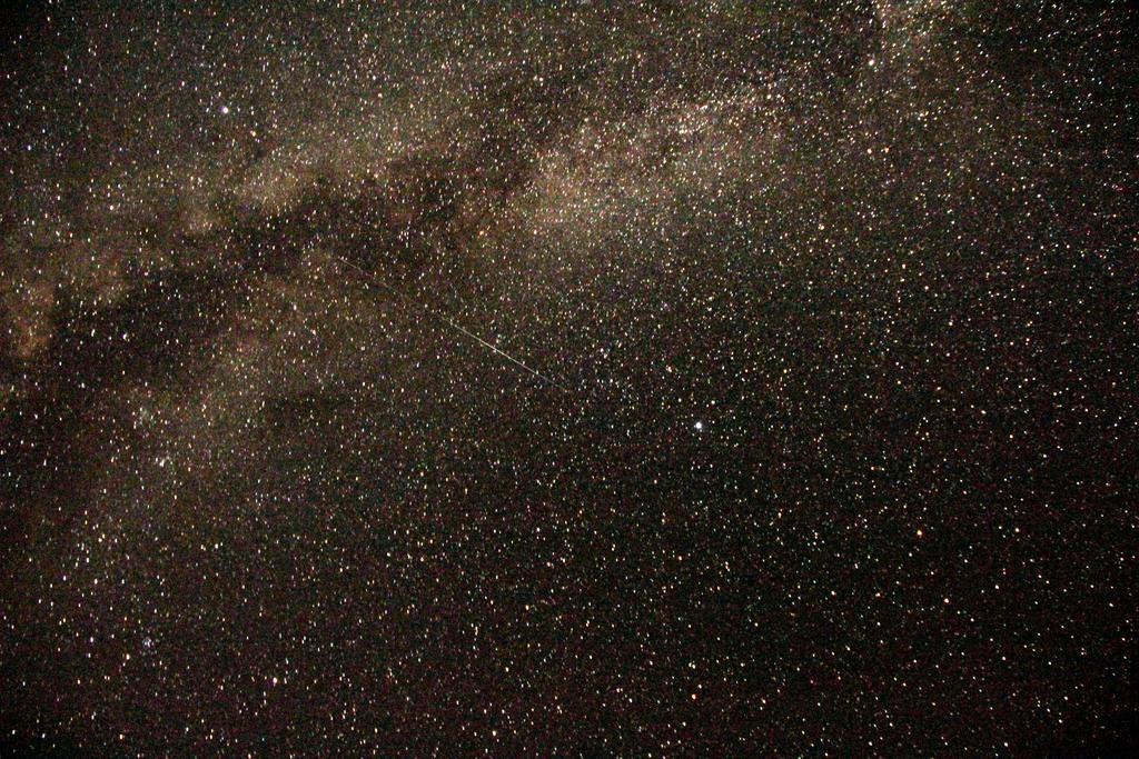 Wadi Rum Sleep Under The Stars Ngoại thất bức ảnh